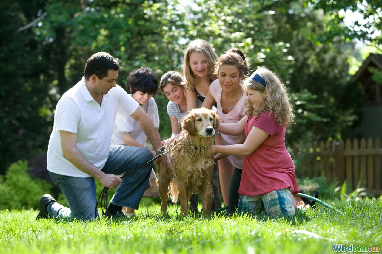 adoption day, matchmaking, families, pets