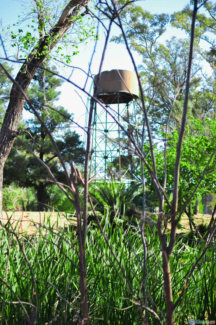 backyard habitat, feeders, native plants, coexistence