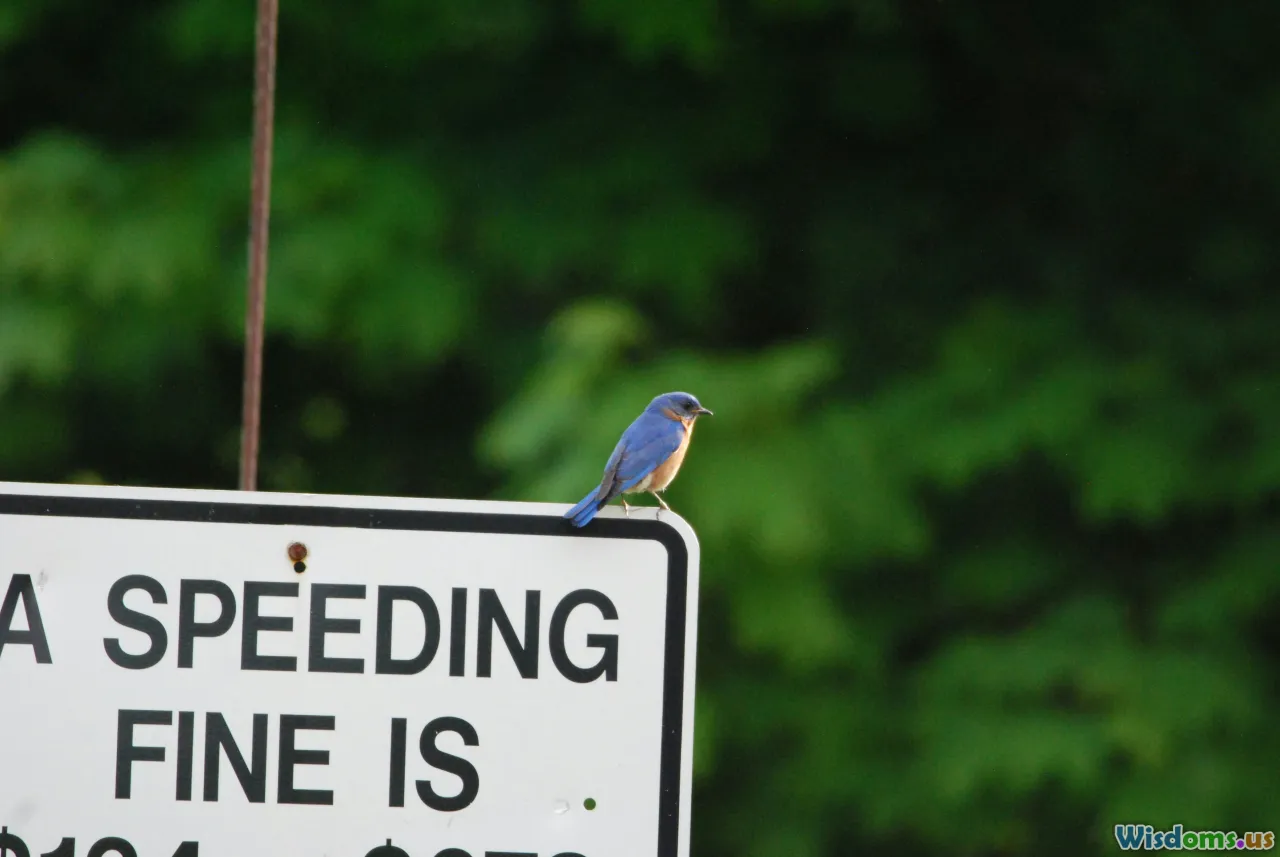 birdwatcher, roadside observation, highway nature, citizen science