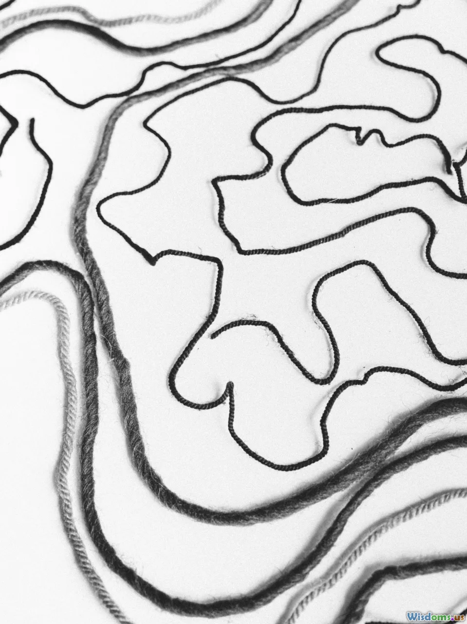 brain, labyrinth, anxiety, cognition