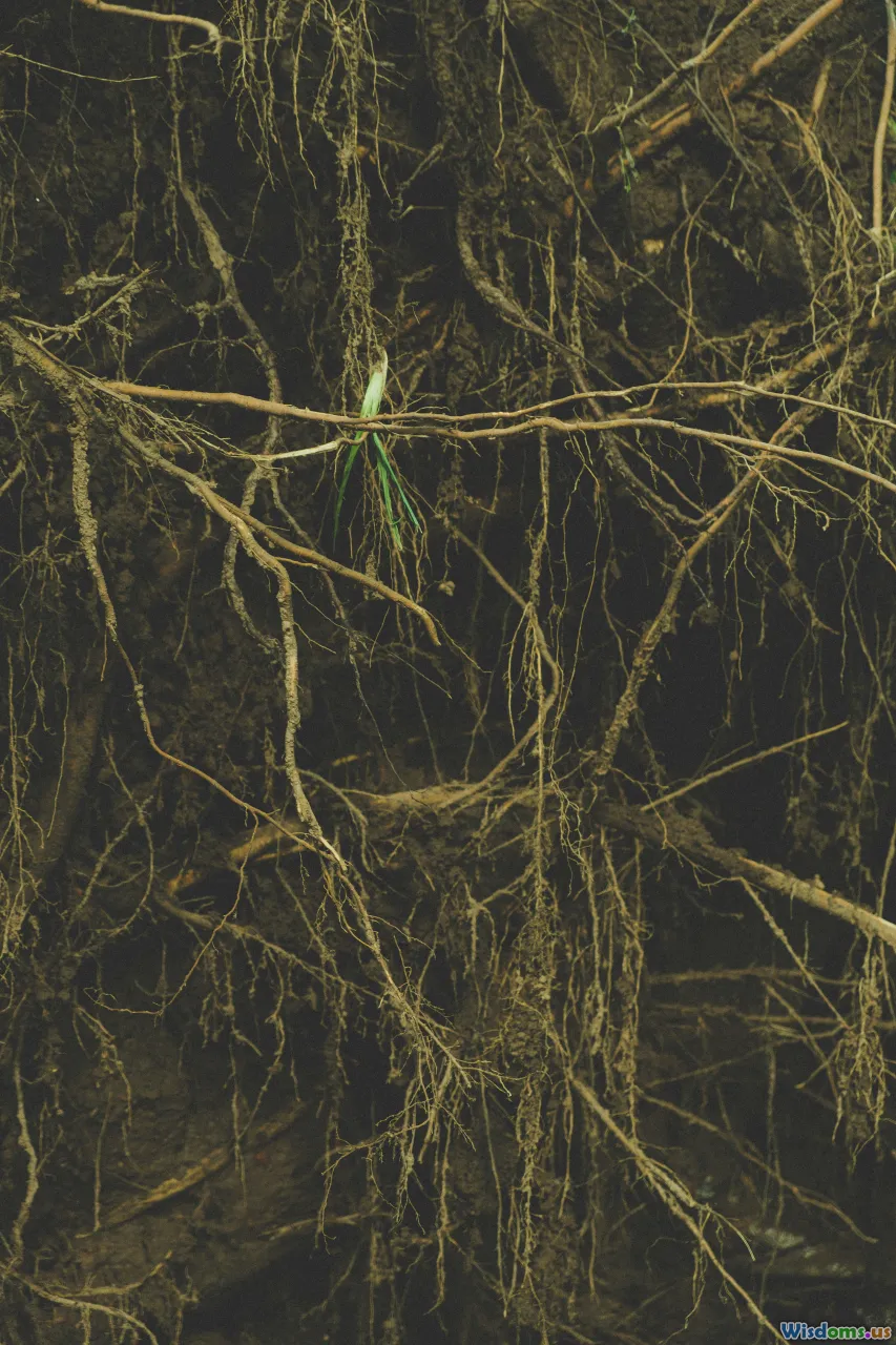 brain, neurons, neuroscience, synapses