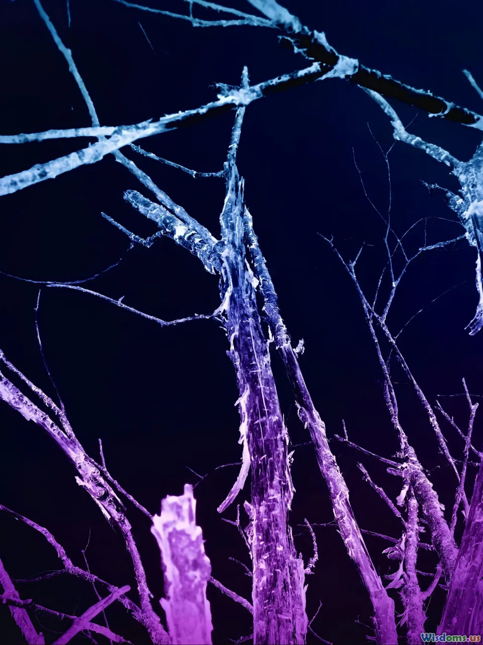 brain plasticity, neurons, learning, adaptability