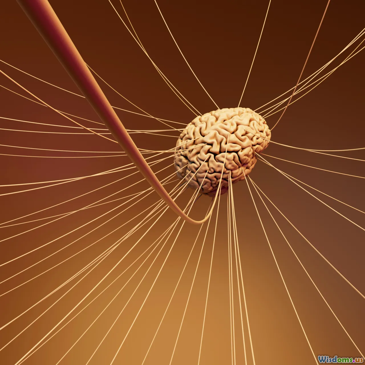 brain, stress, neurons