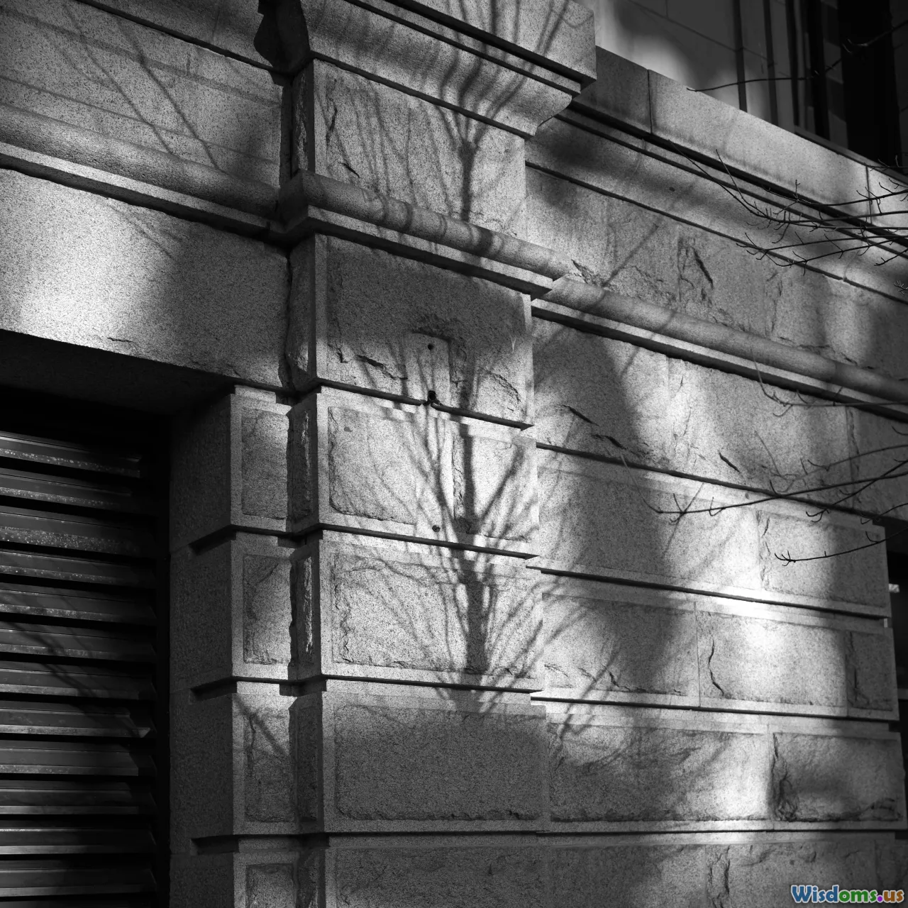 building lighting, photo contrast, architecture shadow, exterior lighting
