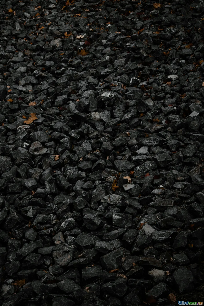 coal power, externalities, abstract cost, pollution