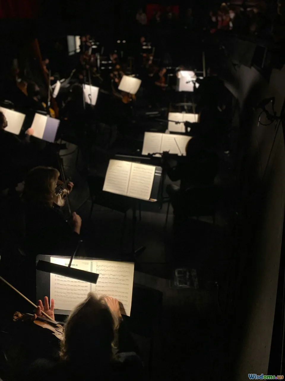 conductor, orchestra, rehearsal, pit