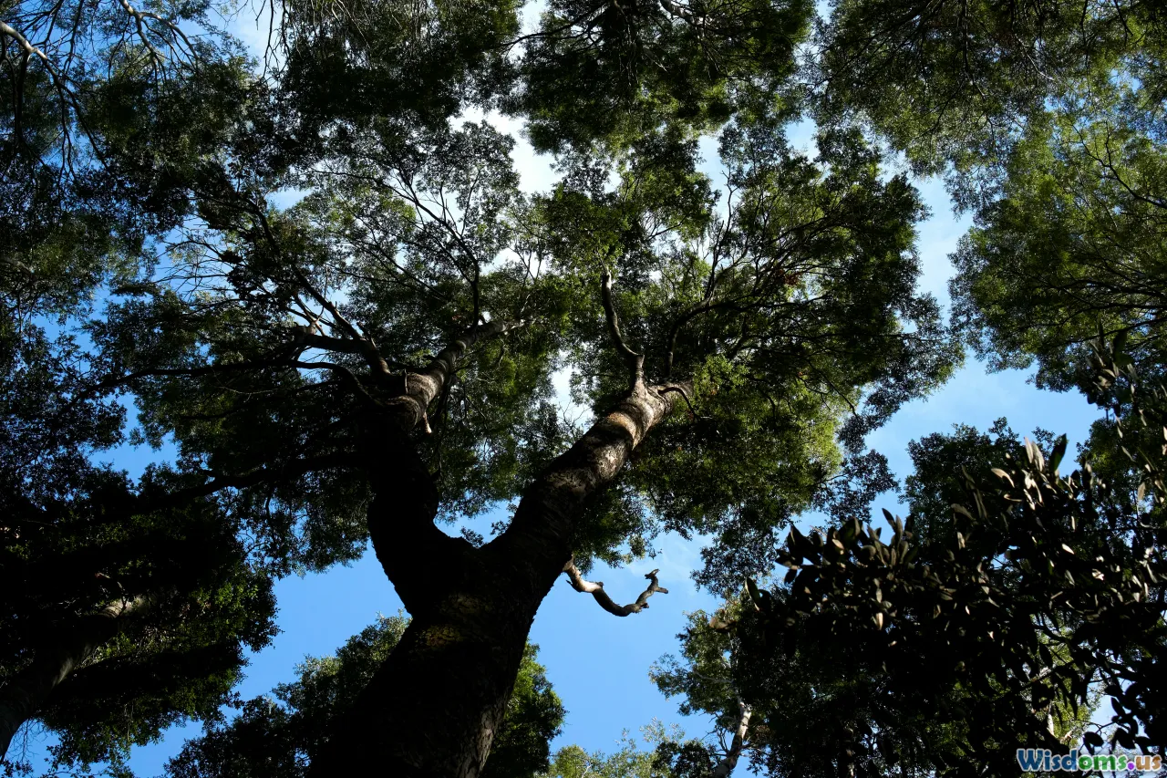 conservation, leave no trace, tree protection, ethics