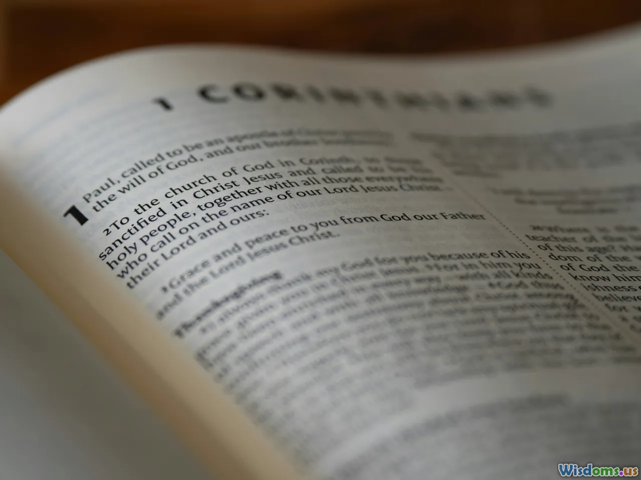 controversy, criticism, debate, social issues