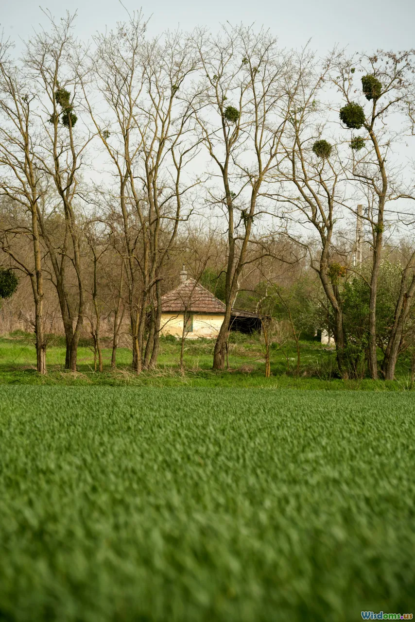 countryside, rural homes, remote village, farmland