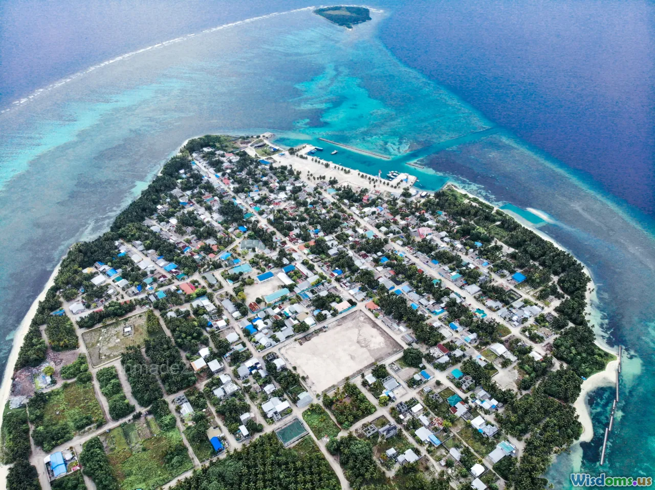 Cozumel, Palau, Maldives, Komodo