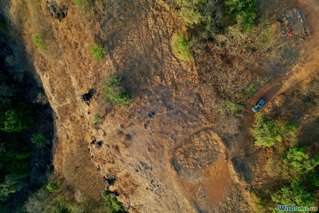 drones, disaster response, emergency team, aerial view