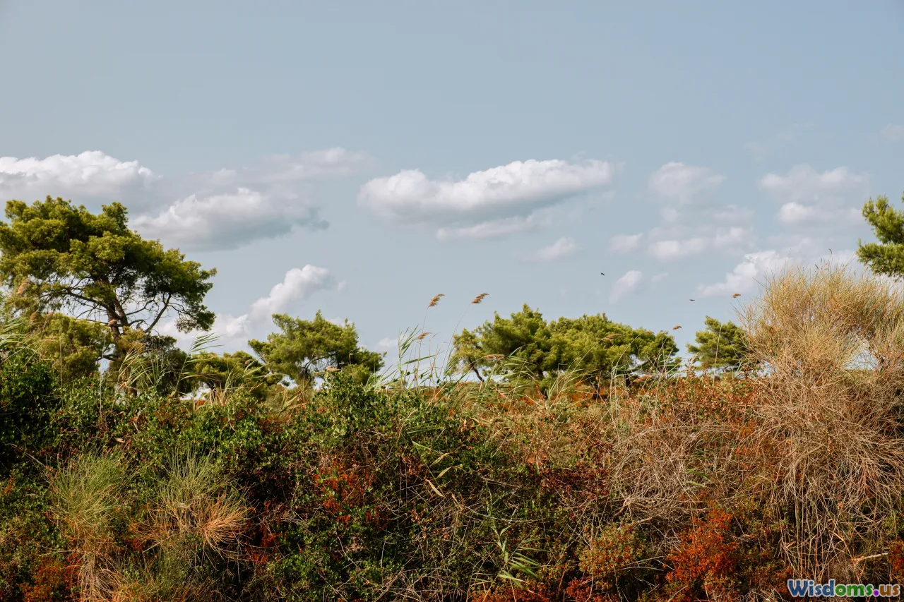 ecosystem, predator-prey, invasive species