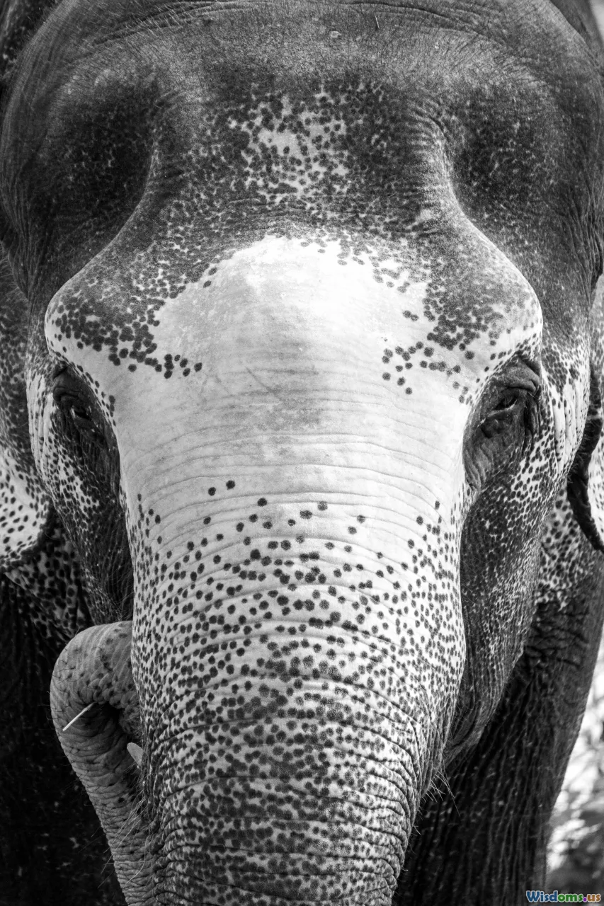 Inside Elephant Memories Are They Really the Smartest Mammals?