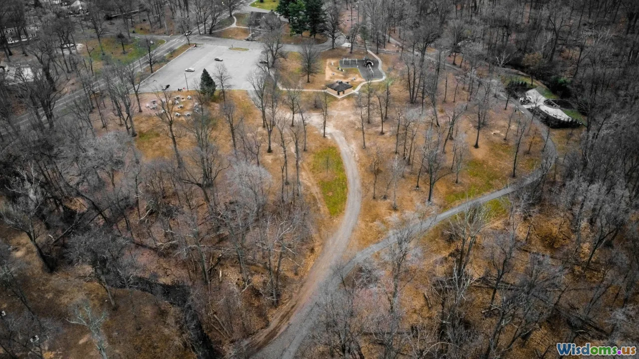 Сравнение стилей лидерства: дикая природа против городских чрезвычайных ситуаций