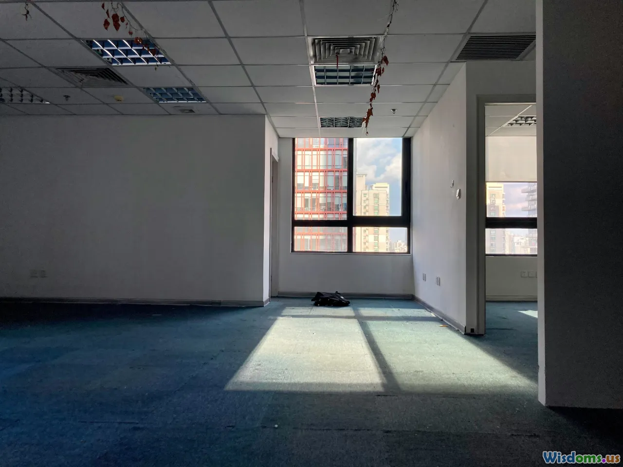 empty office, solo developer, isolation, morning light