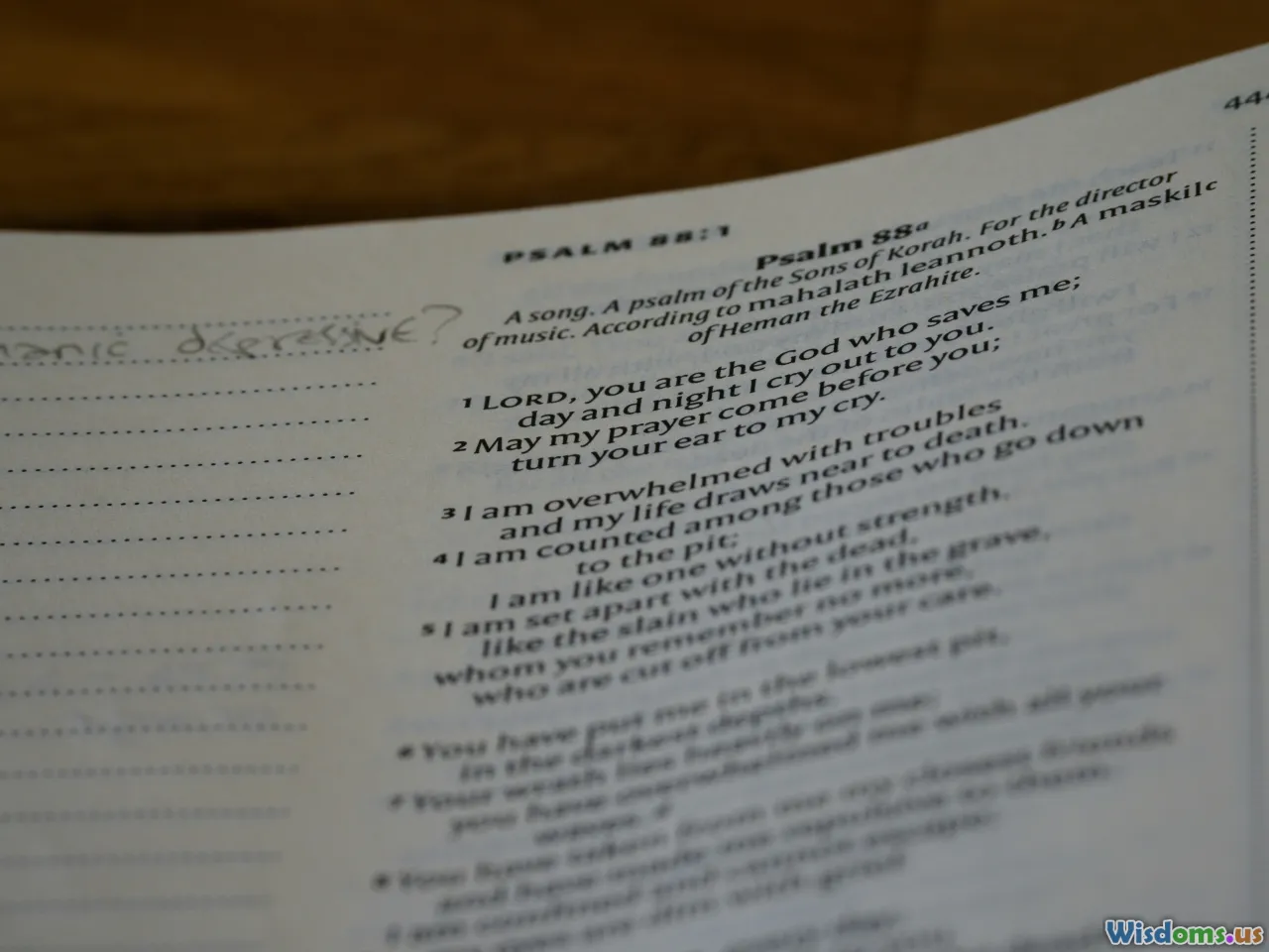 family meeting, roles, checklist, home plan