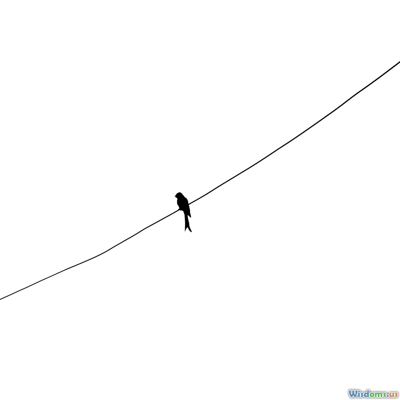 foresight, trend lines, culture