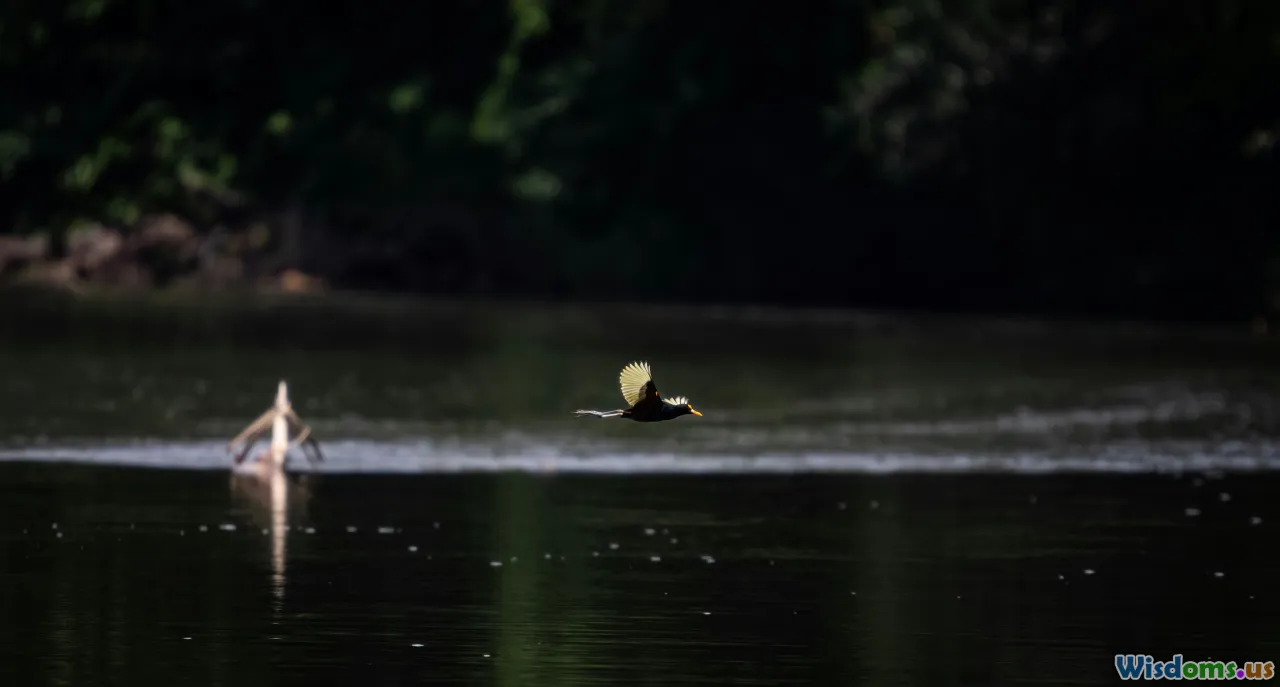 forest, river, wildlife, biodiversity