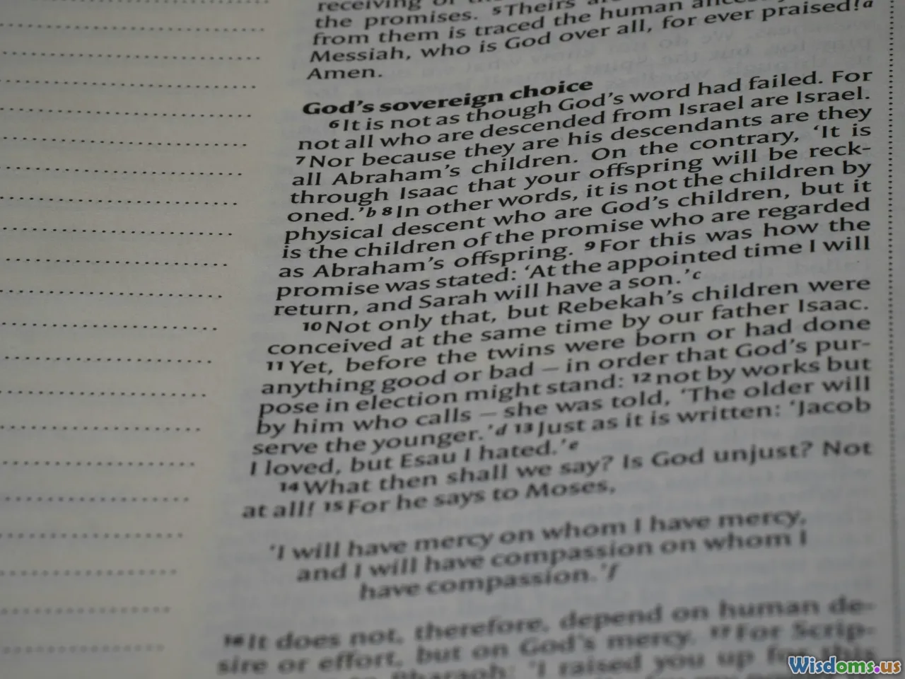 formatting, bullet points, highlighted text, blog layout