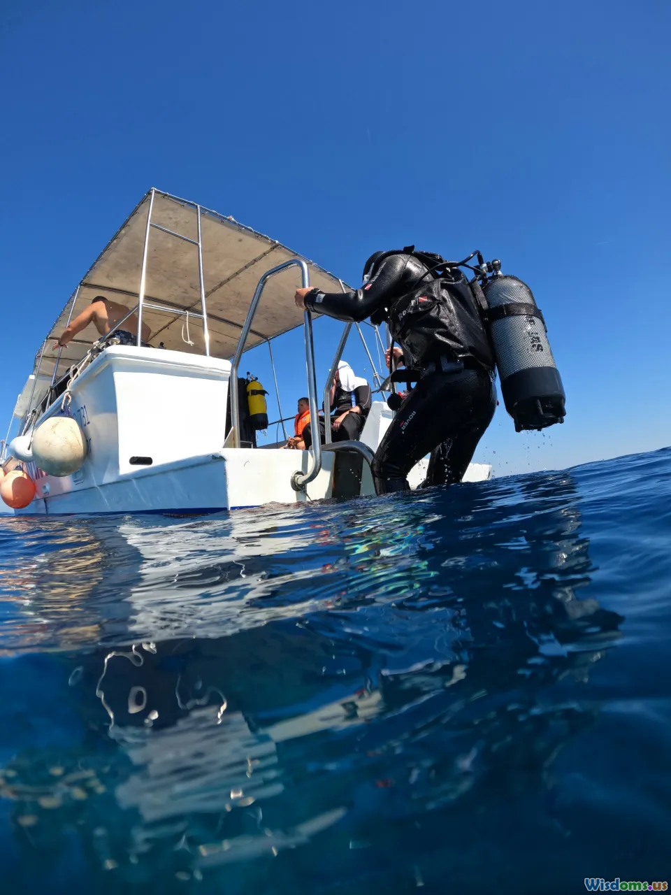 future, human-dolphin interaction, learning, ocean research