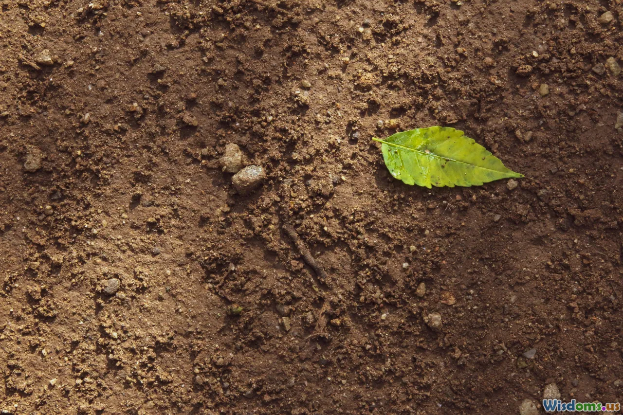 garden plan, microclimate, shade, soil