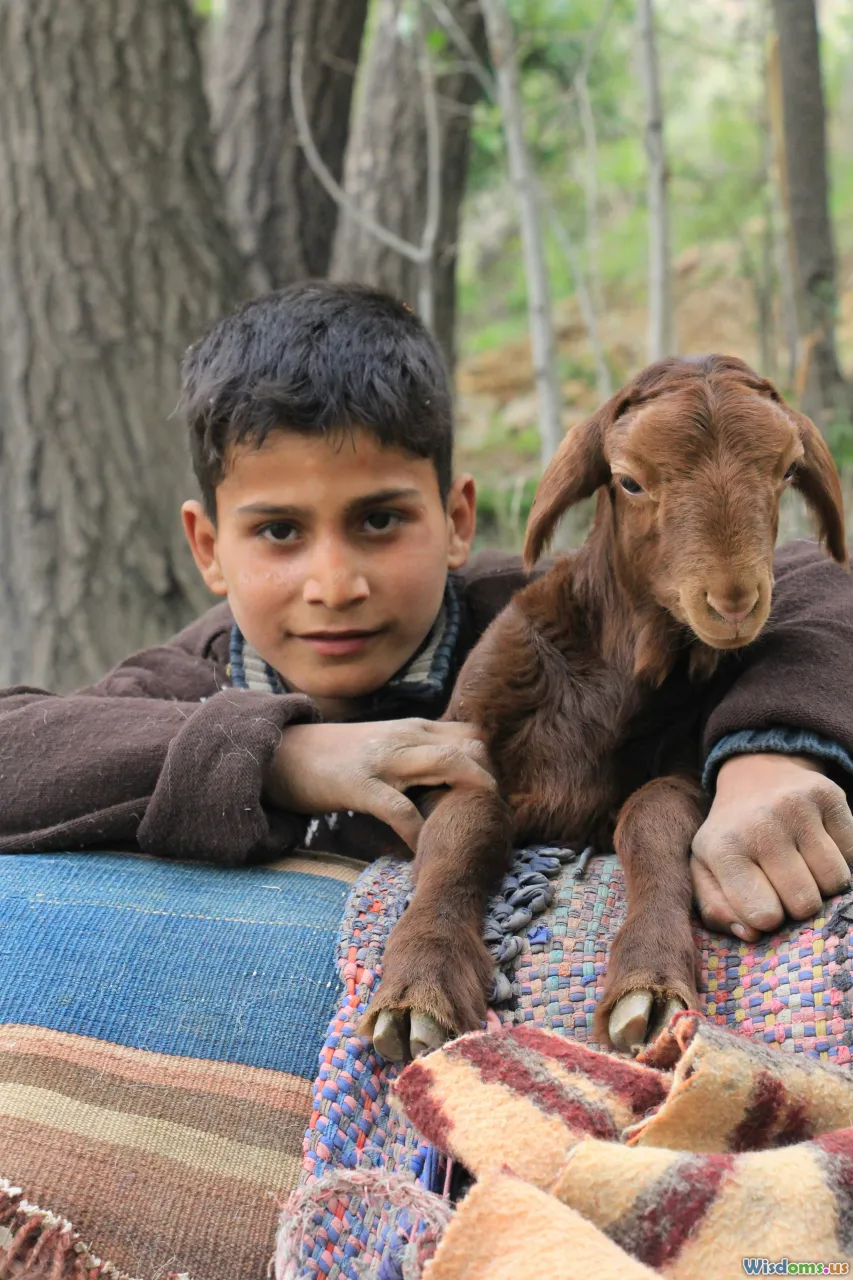 goat farm economics, animal welfare, rural development, kid goats