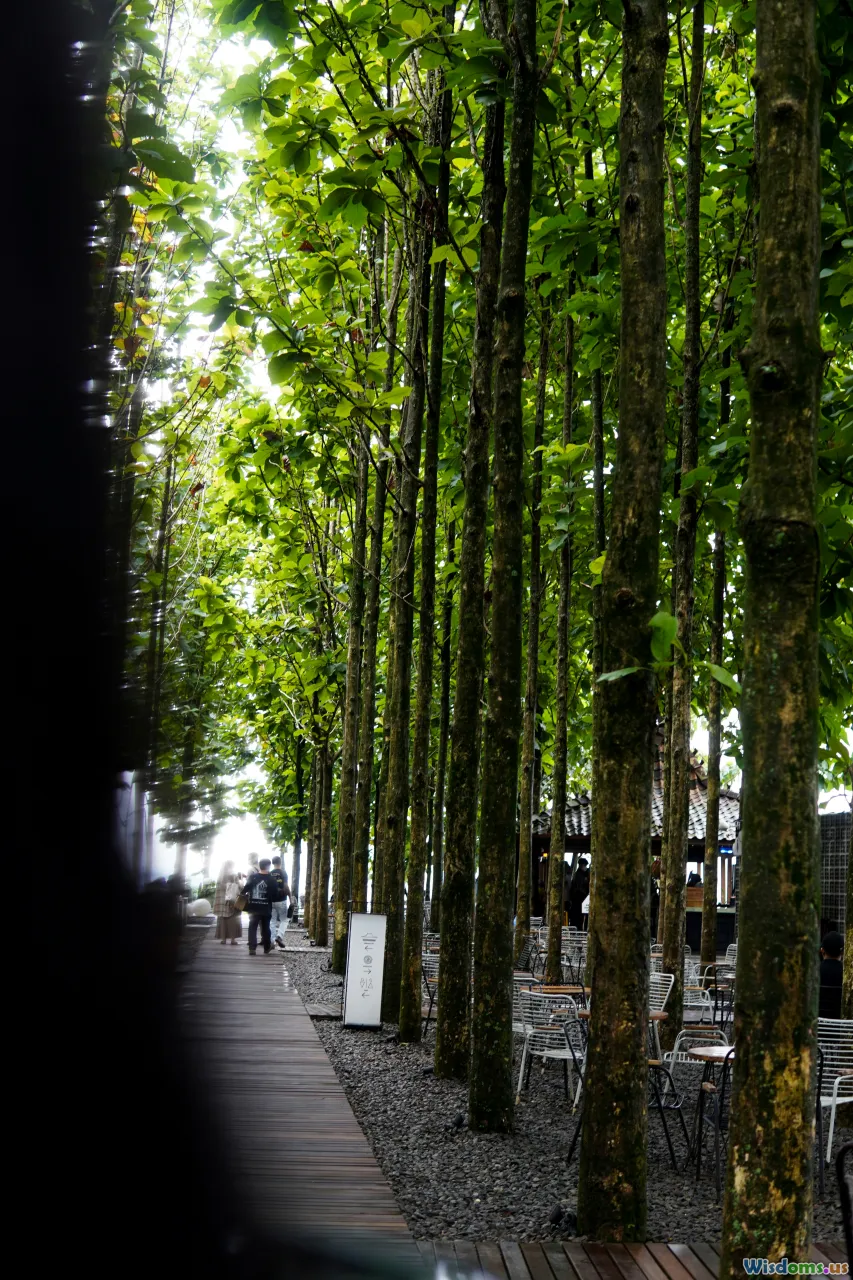green streets, shade trees, urban garden, eco-friendly streets