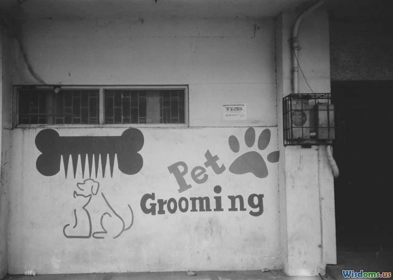 grooming salon, home grooming, before and after, groomer vs owner