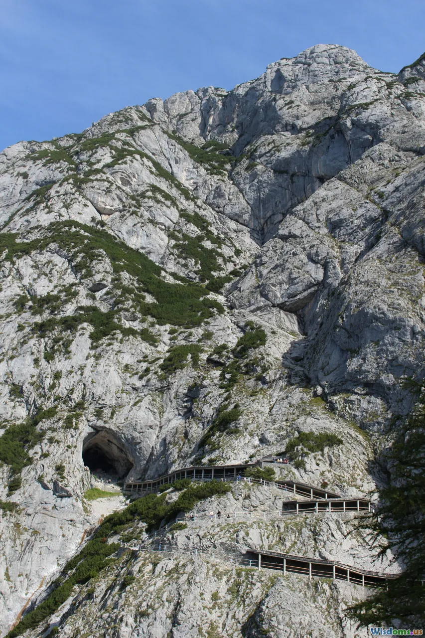 habitat design, tunnels, hideouts, fleece