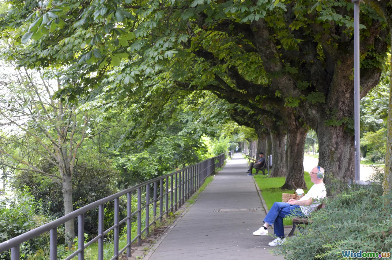 hedges, sound barrier, city street, reading bench