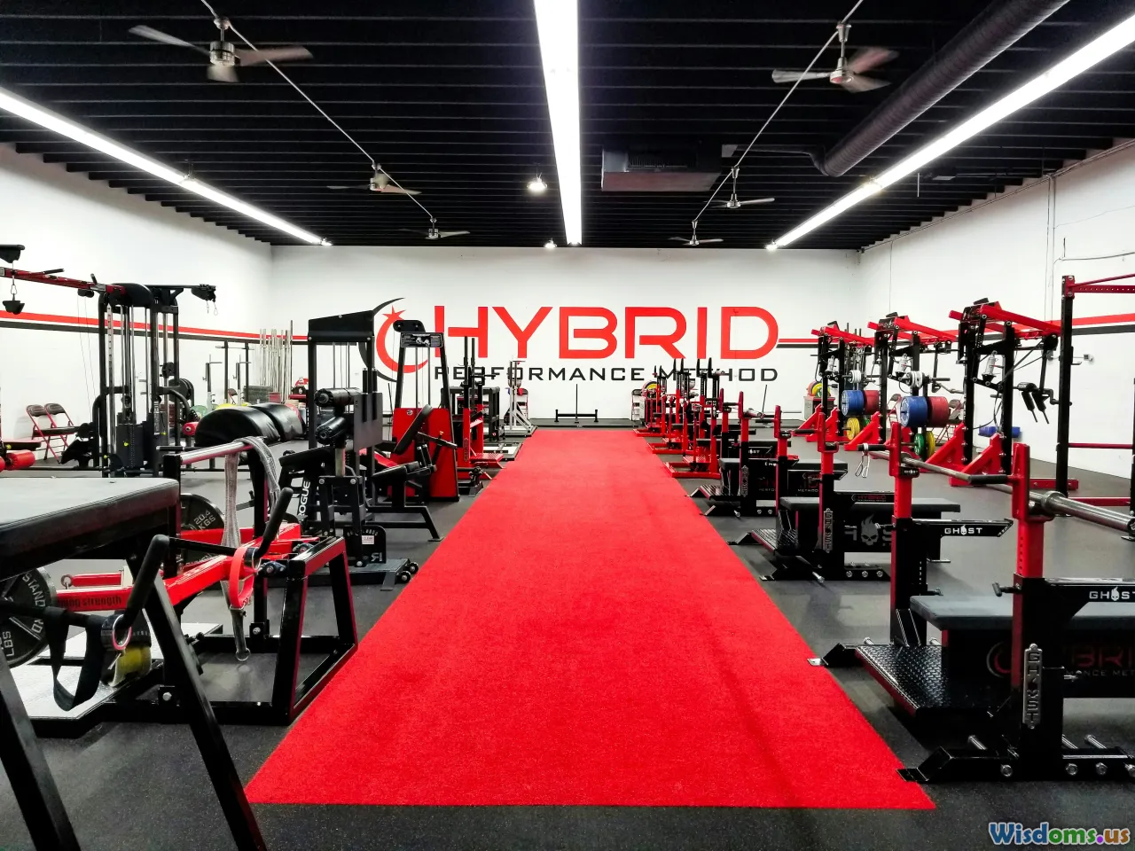 hybrid training, pairing, complexes