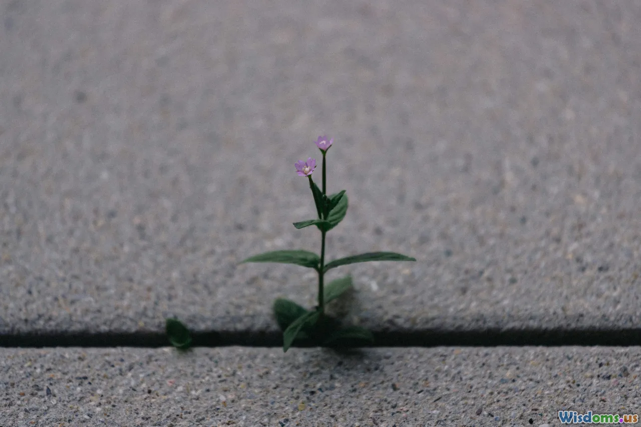 inspiration, perseverance, personal growth, challenge