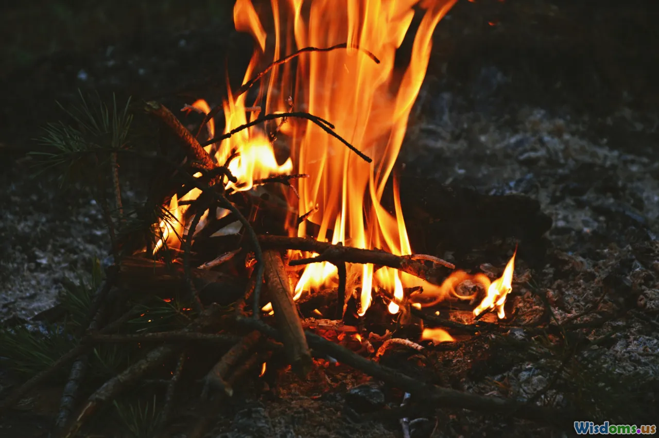 jungle fire, wet wood, survival campfire, firestarter