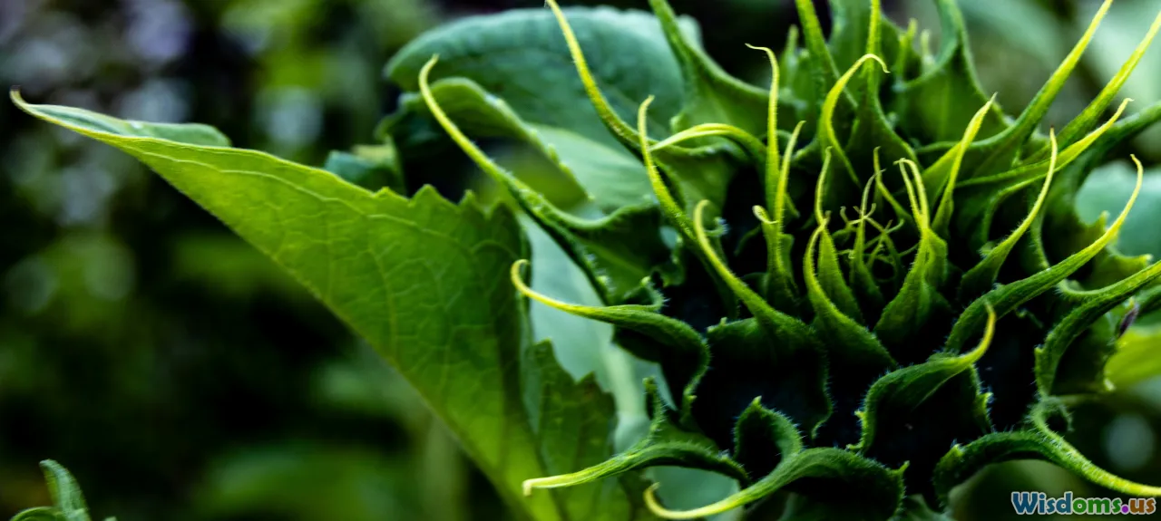 From Kale to Spinach Which Green Fights Inflammation Better