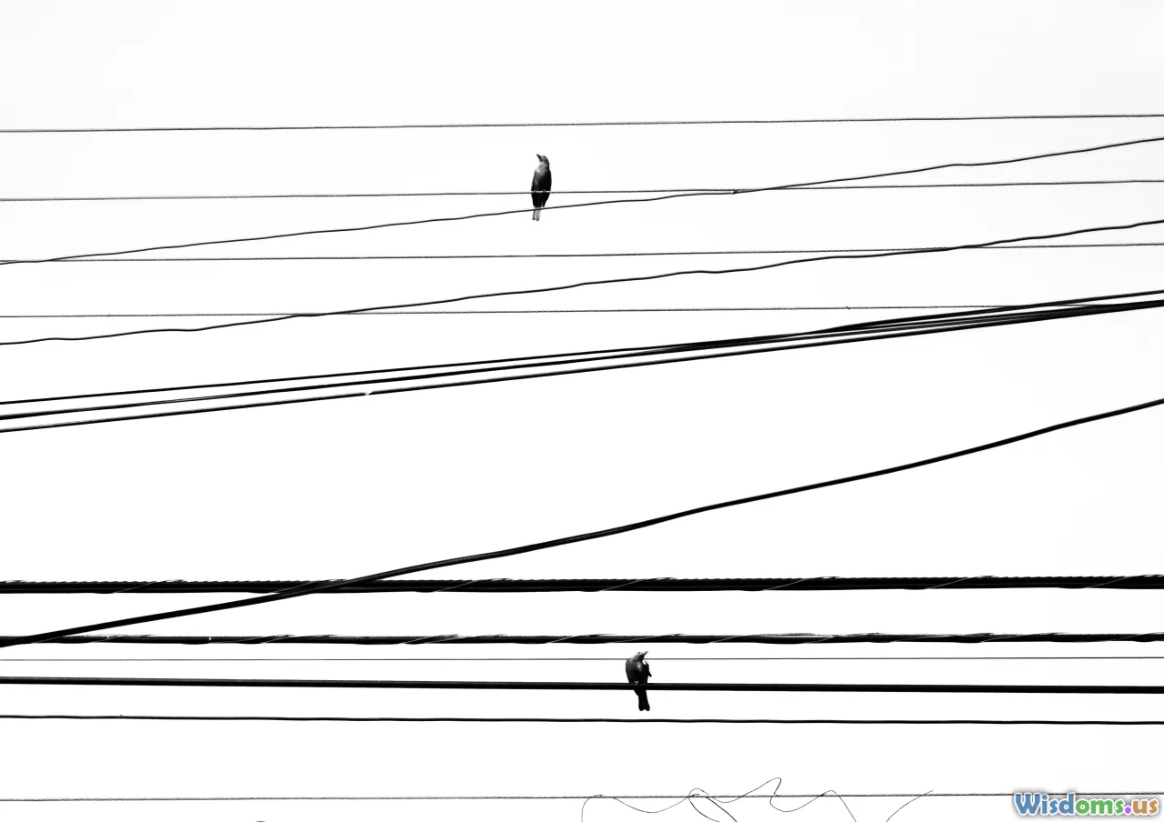 leading lines, path, dynamic composition