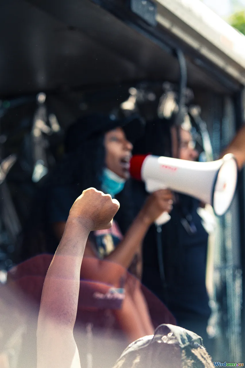 loudspeaker, roadmap, mentor, activism tips