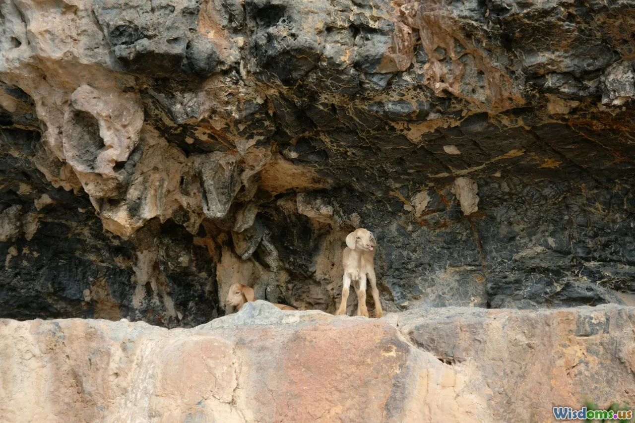 Lovelock Cave, Nevada, giant skeletons, Native American legends, cave excavation