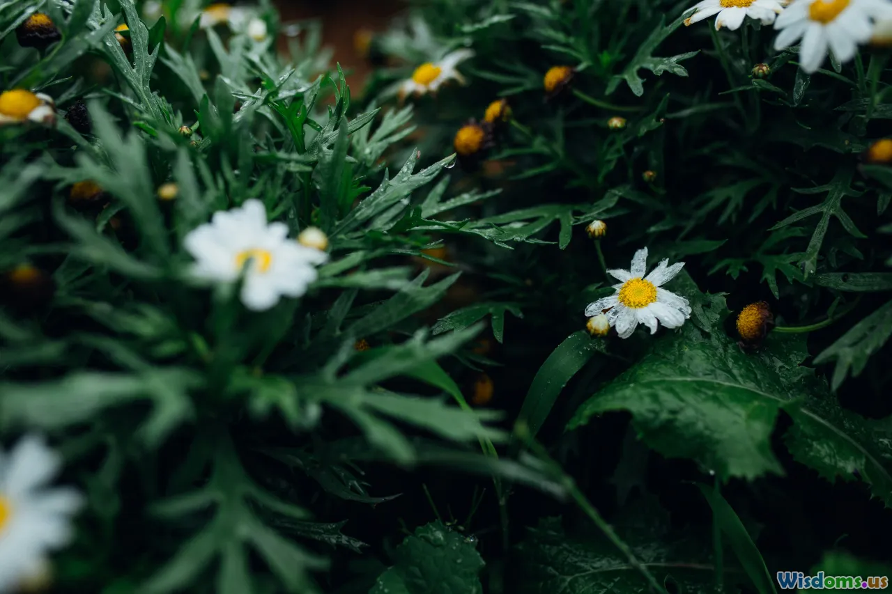 medicinal-plants, apothecary, research, herbs