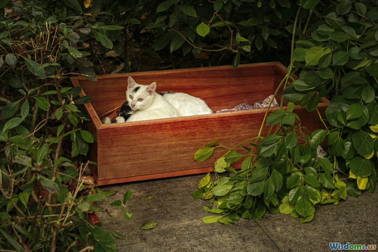 memorial, pet portrait, keepsake box, tribute garden