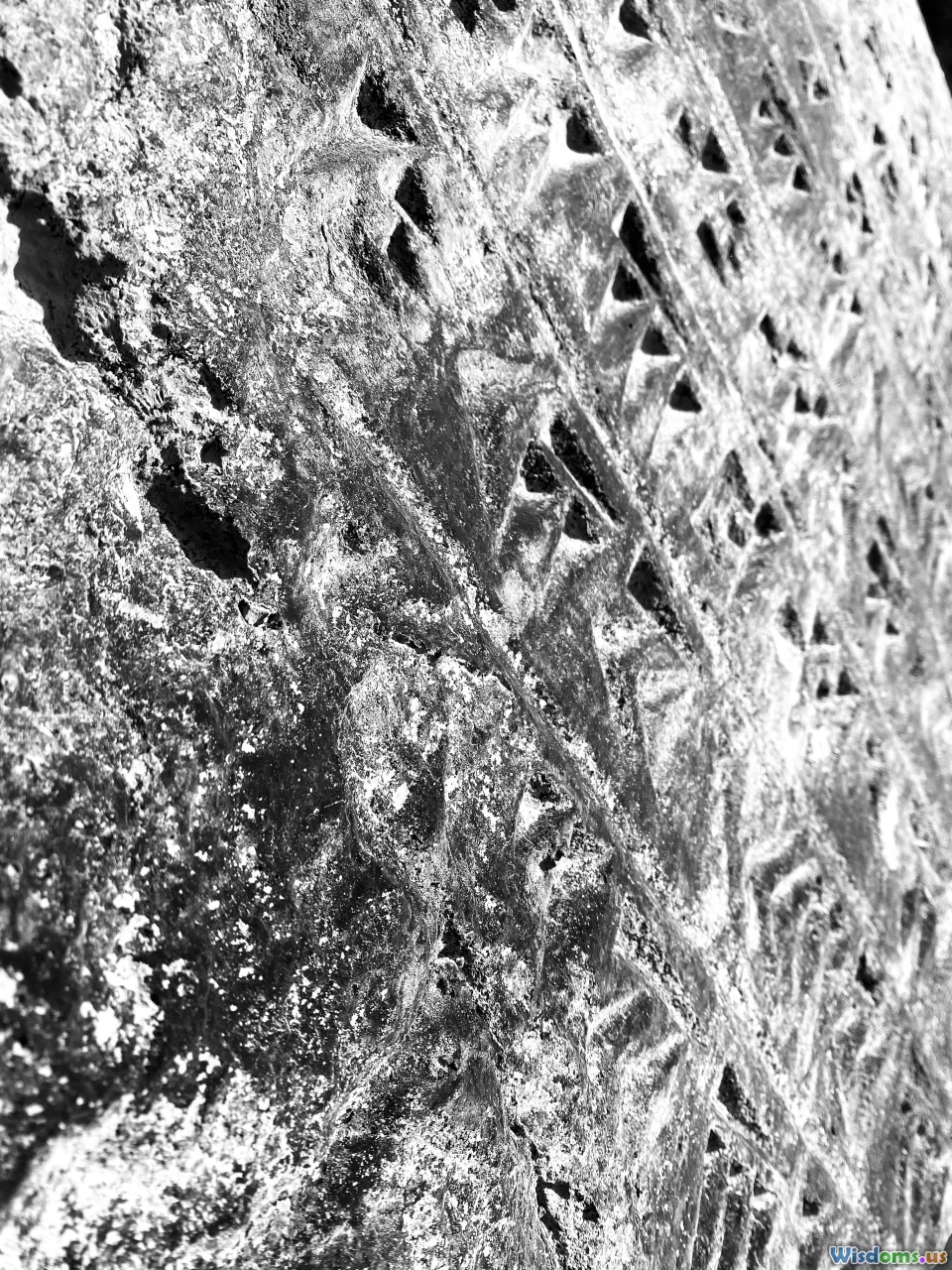 micrograph snowflakes, dirty snow, urban park winter