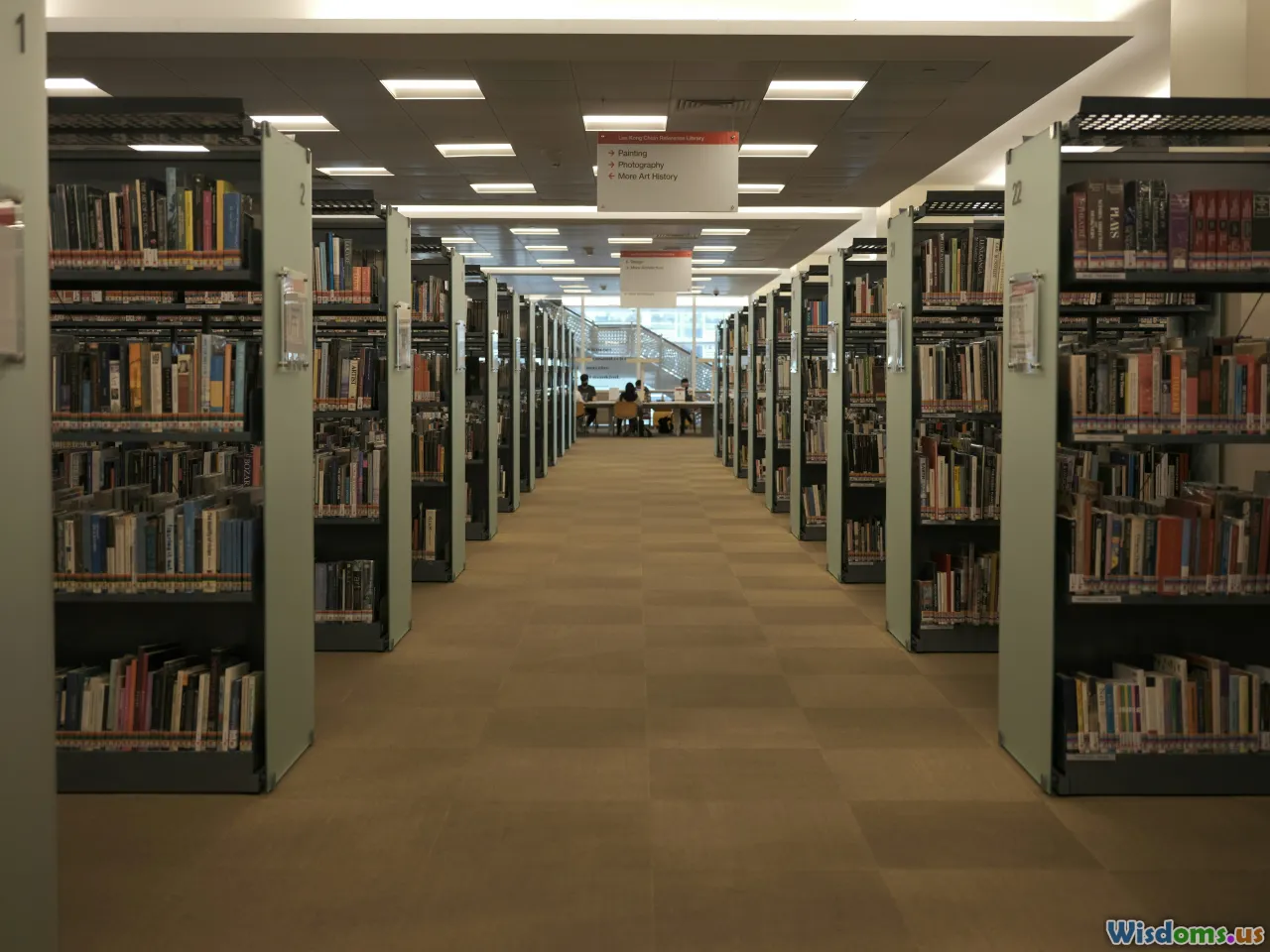 Do Modern Libraries Still Matter for Social Equity