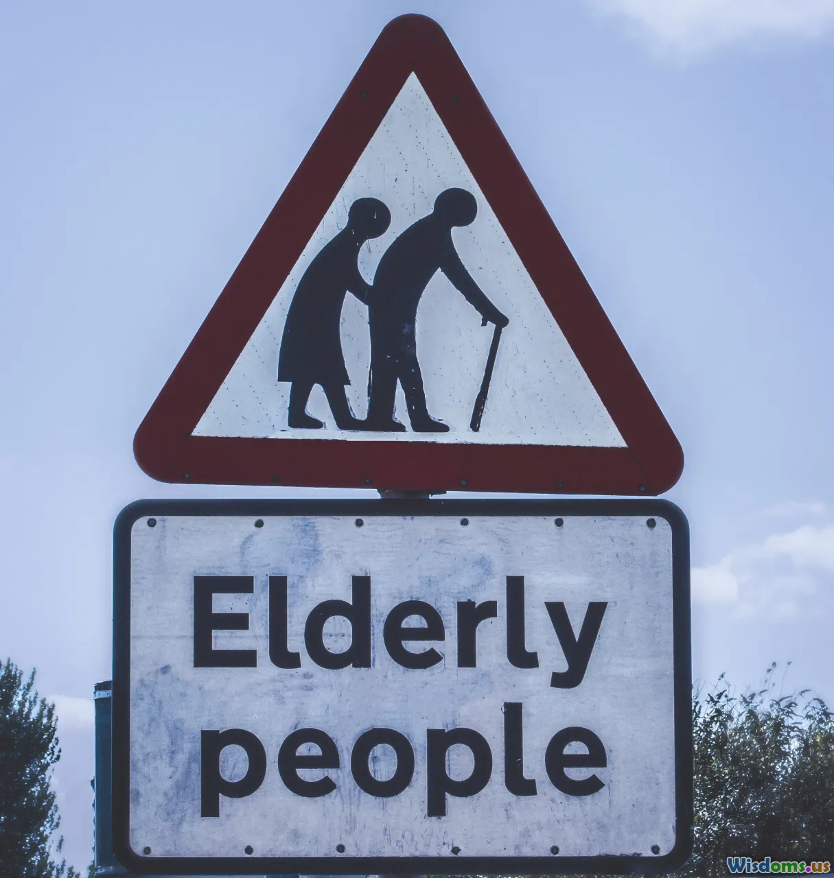 modern welfare, policy design, social services, prevention