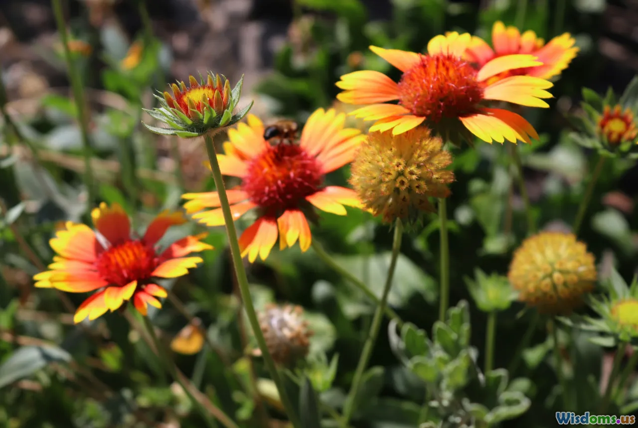 native plants, pollinators, urban nature, planters