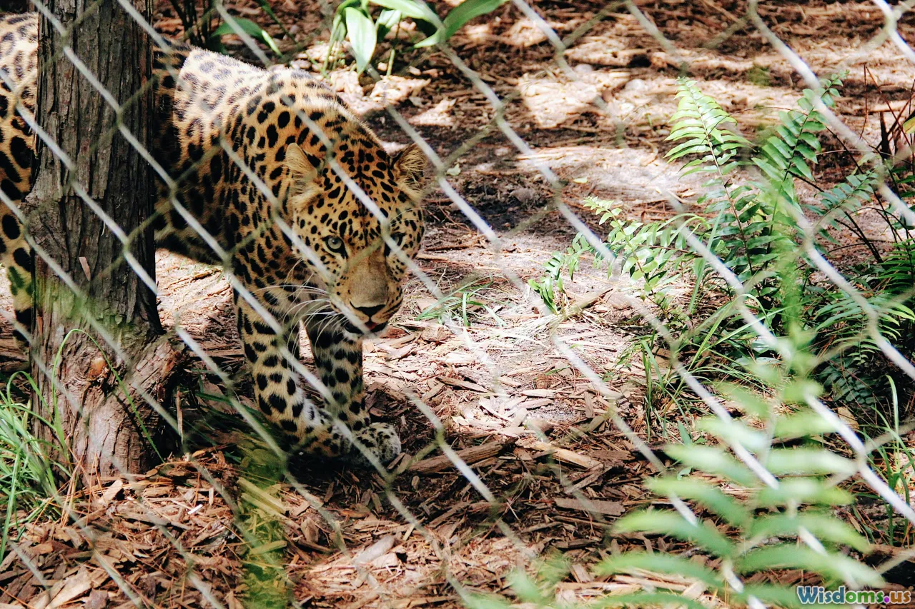 Natural Selection Myths That Most Wildlife Lovers Believe