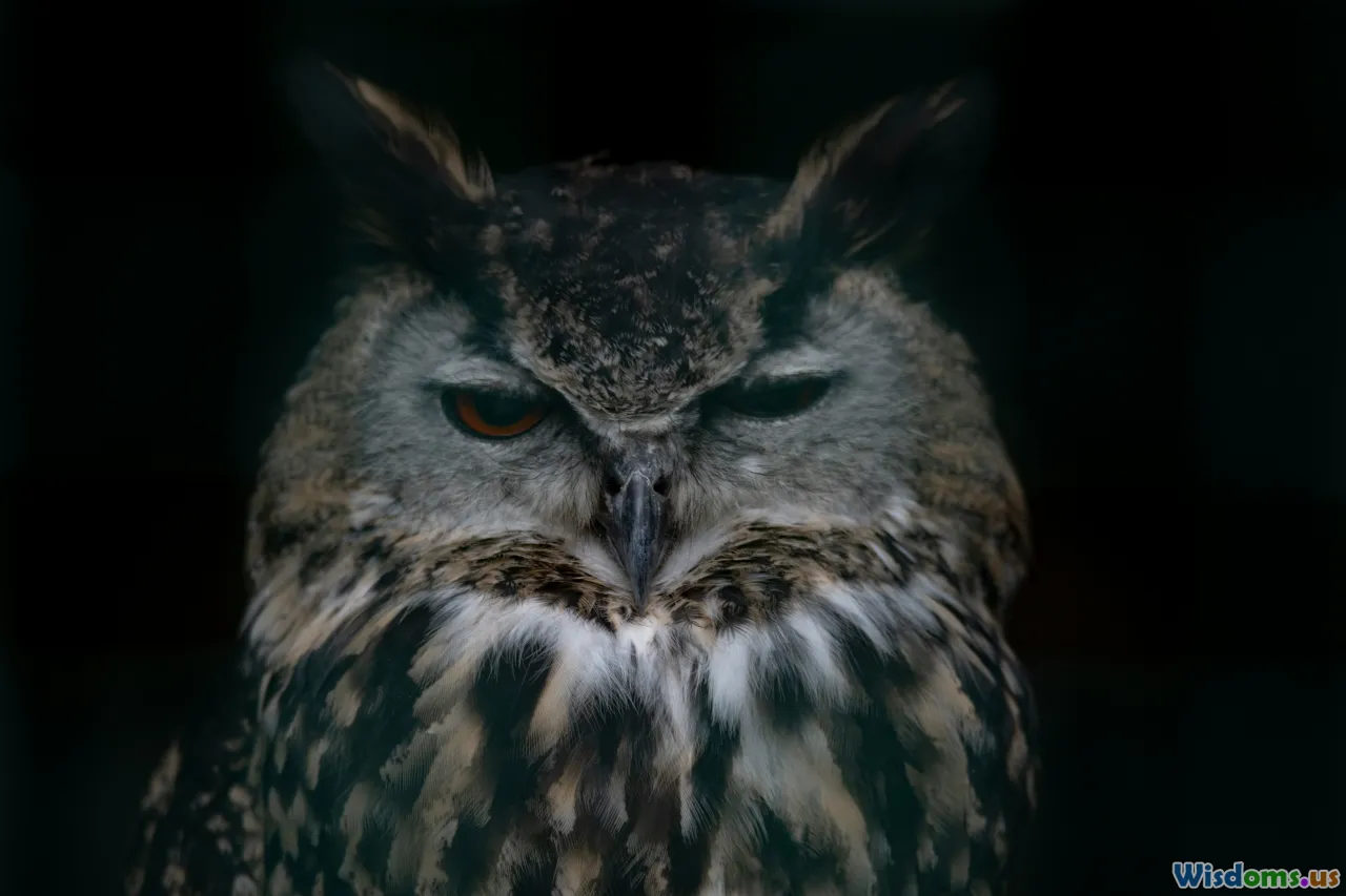 Battle Of Routines Night Owls Versus Early Risers