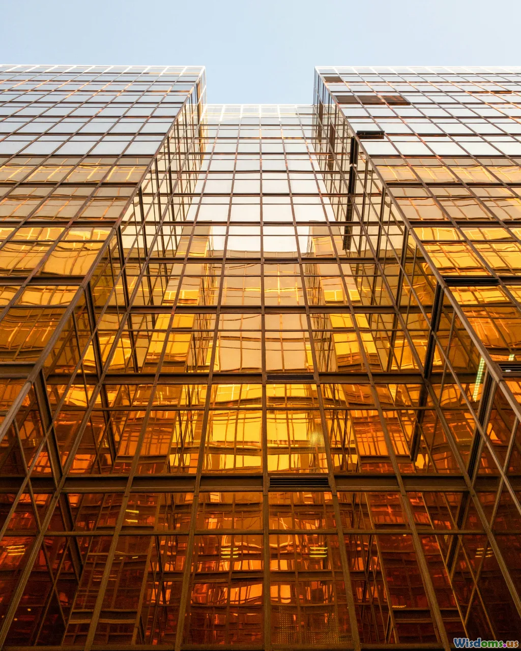 ownership, corporate structure, transparency, law