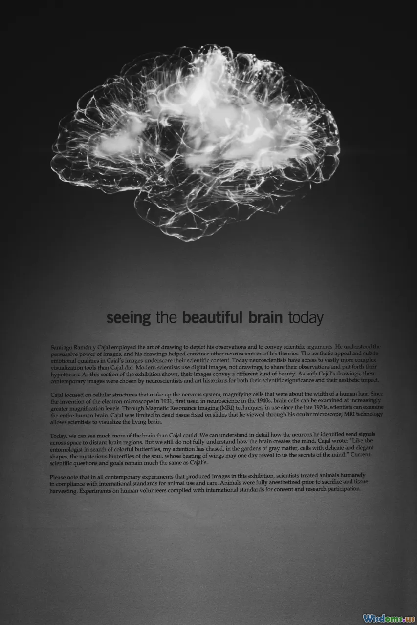 psychology, attention, memorable ads