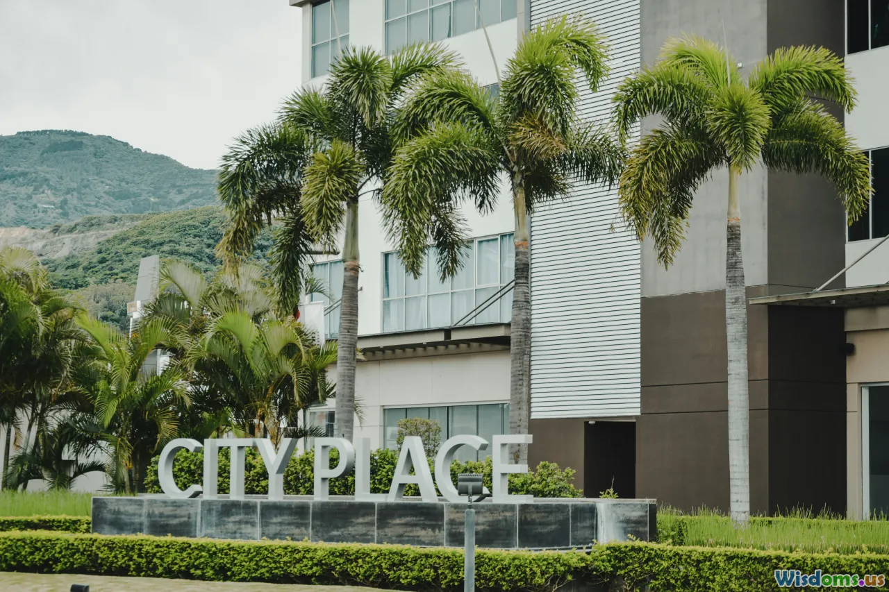 public private partnership, city government, urban policy, municipal planning