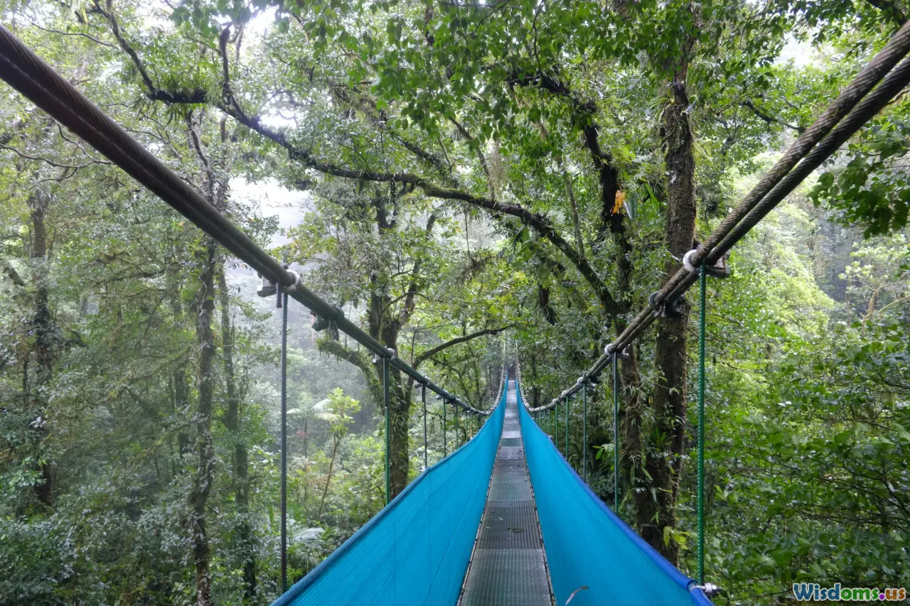 Rainforest Nights Sleeping Dry When Everything Is Soaked