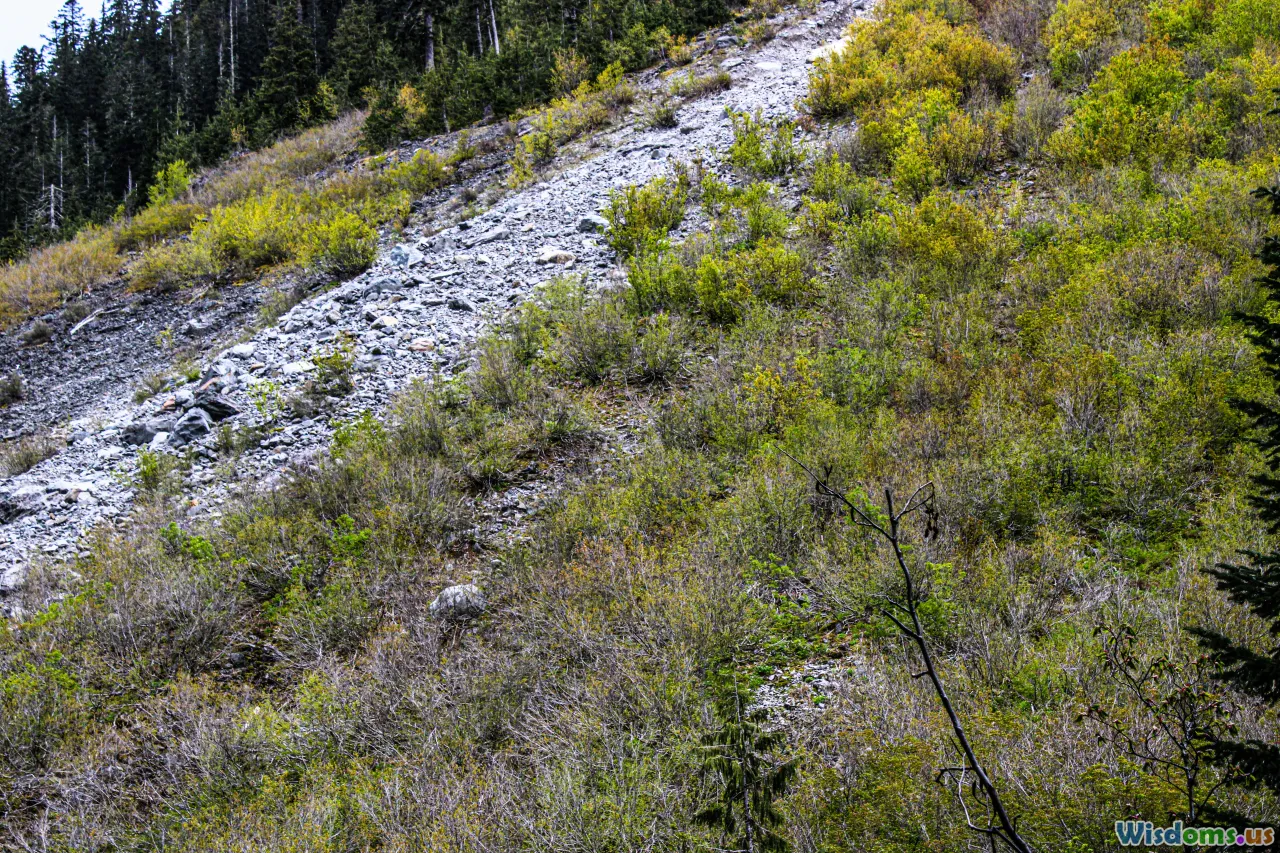 rocky trail, scrambling, field test